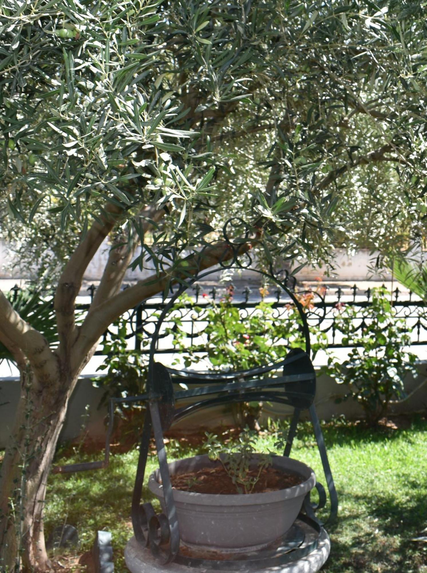 Apartment Ni & νa